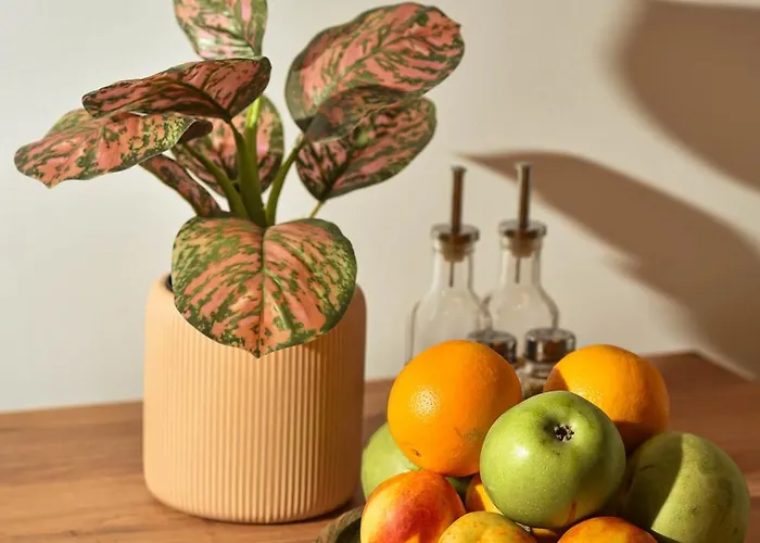 Michurin Free Public Parking